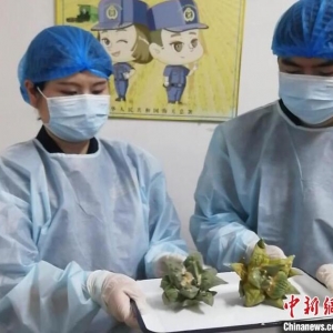 西安邮局海关在入境邮包中查获涉濒危多肉植物