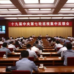 十九届中央第七轮巡视完成反馈 看看巡视组都发现了哪些问题！ ...