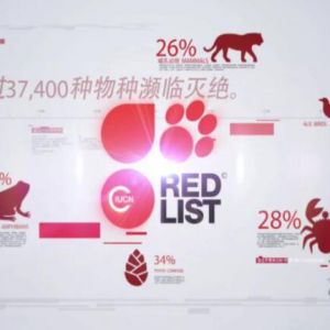 再创纪录！这株“杂草”竟是守护我们饭碗的“法宝”