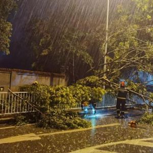 重庆多地遭遇狂风暴雨袭击 局地风力达11级