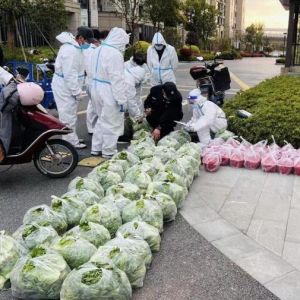 【上海战疫录】蔬菜团长、水果团长……因为感动而“热血开团” ...