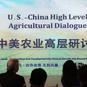 秦刚：维护全球粮食安全 发挥中美大国应有作用