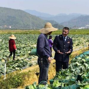 广东韶关新鲜“菜篮子”香飘粤港澳