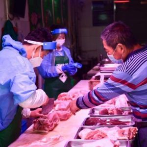 猪肉价格连涨9周，回归10元以上，养殖户松了口气