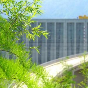 三峡库区消落带生态修复初见成效