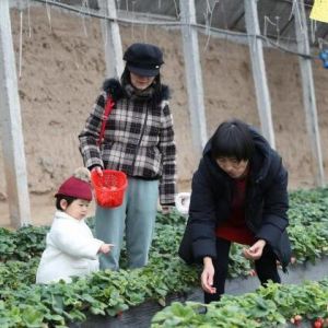 探访宁夏餐中上的民生：市民“盘中餐”盛满“幸福味”