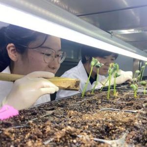 【科学的温度】即便是太空，也阻挡不了中国人种菜的脚步