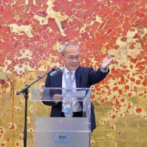 第三届中欧国际艺术双年展在维也纳联合国开幕