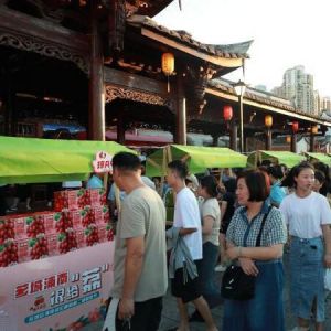 乡约福建：闽南畲村荔枝节引游人